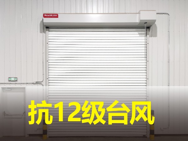 抗風(fēng)卷簾門